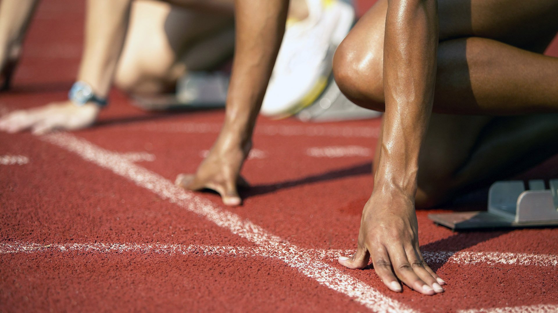 加拿大女队自由泳实力稳步提升，加拿大泳手