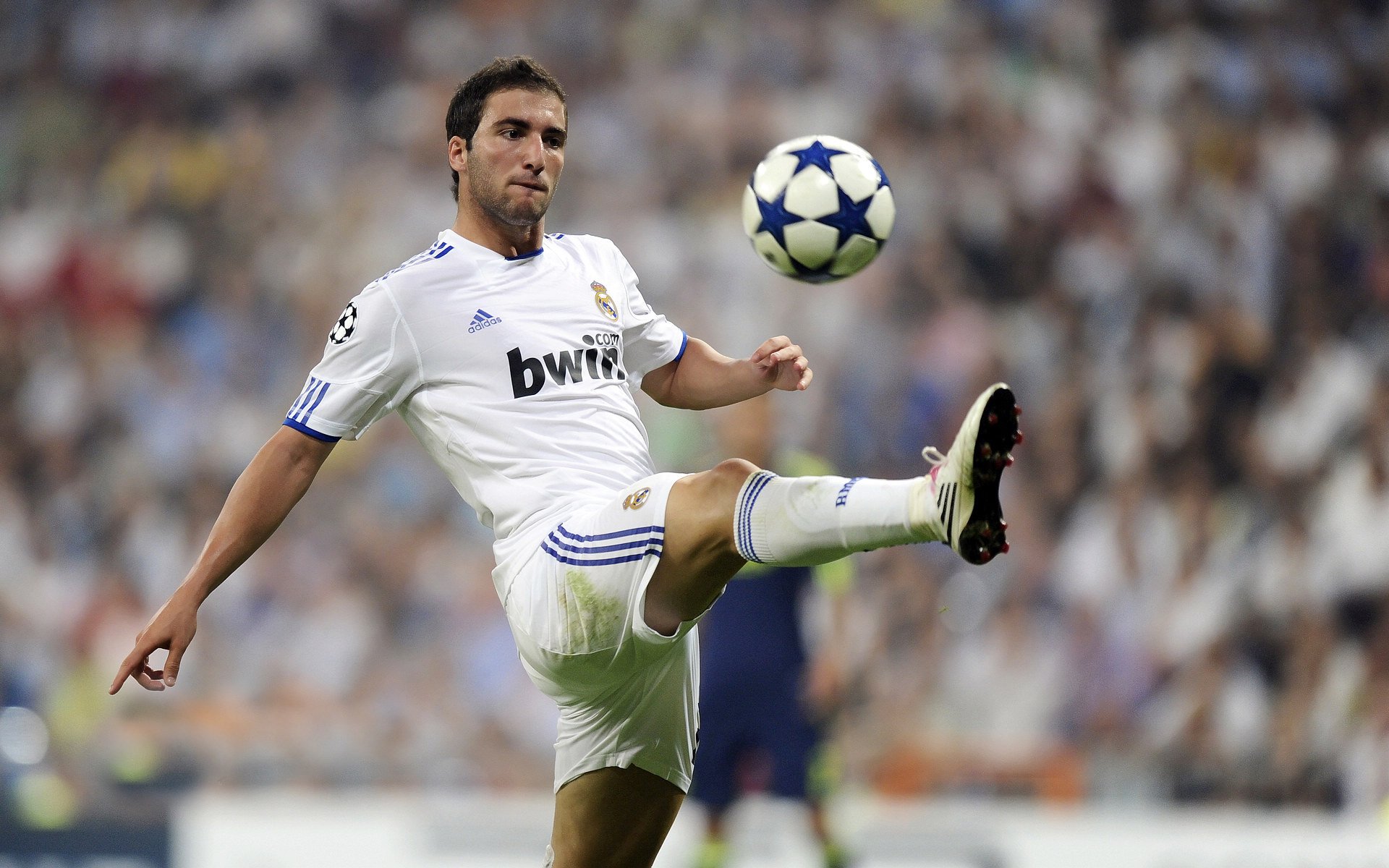 体育明星社交平台影响力数据发布，搜索体育明星