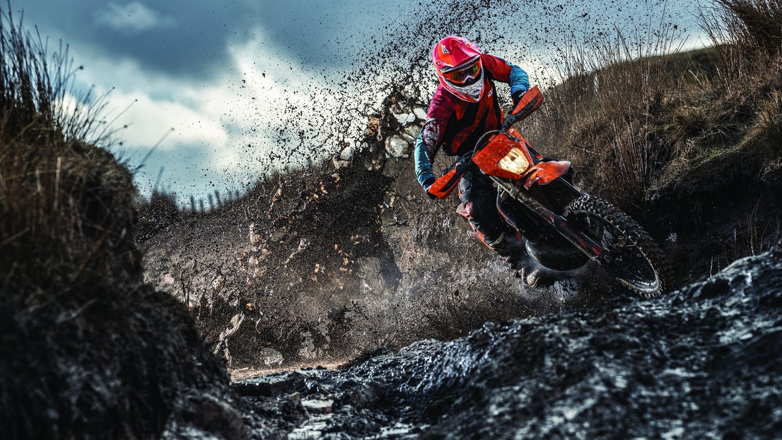 青少年体育培训热潮 未来之星在成长，青少年体育培训市场预测